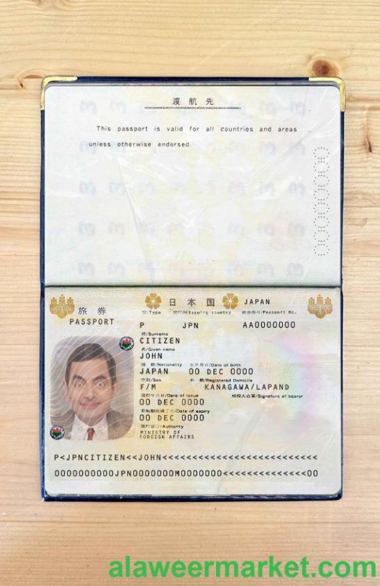 Japan pass photo look